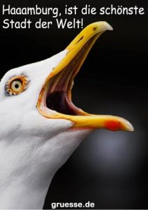 grusskarte diverses bloede sprueche 006