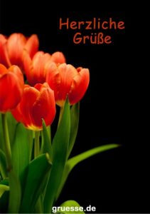 grusskarte diverses blumengruesse 008