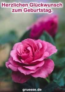 grusskarte glueckwuensche geburtstag allgemein 038