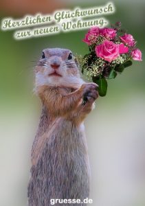 grusskarte glueckwuensche neue wohnung 001